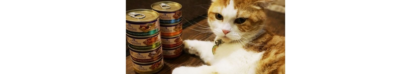 罐罐 Cat Canned Food