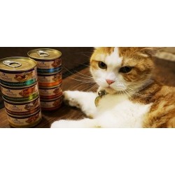 罐罐 Cat Canned Food
