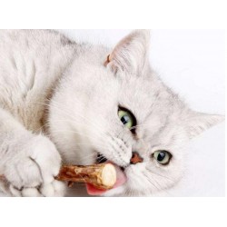 零食 Cat Treats