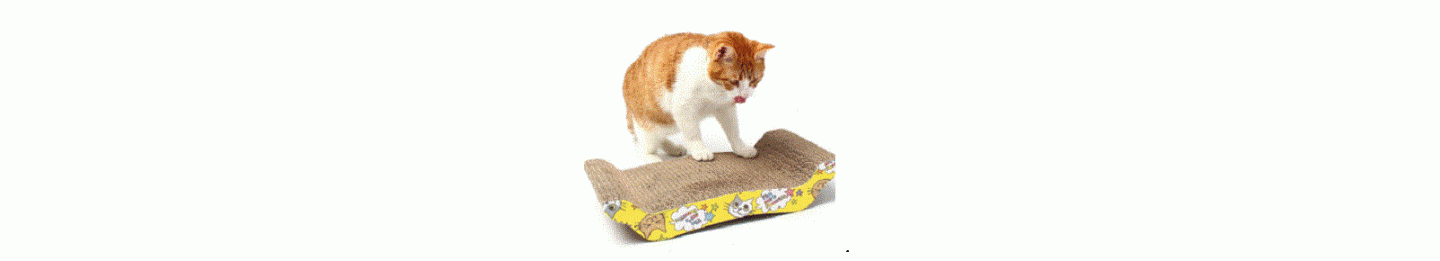 貓貓玩具 瓦通紙