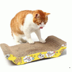 貓貓玩具 瓦通紙