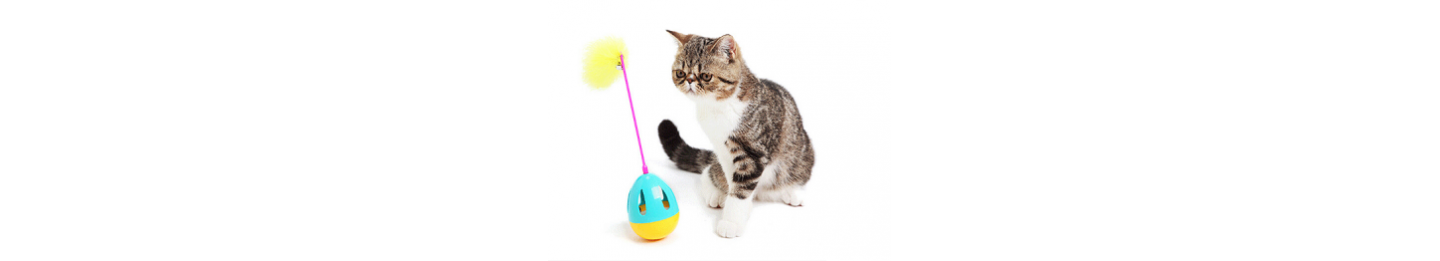 貓貓玩具
