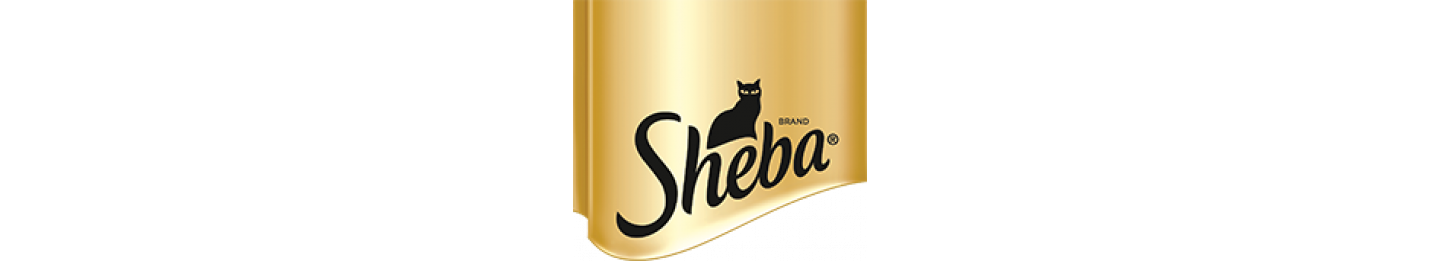 Sheba 