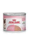 Royal Canin BabyCat Mousse BB貓配方 195G