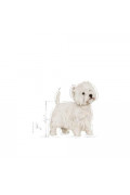 Royal Canin 法國皇家 - West Highland White Terrier Adult 西高地白爹利成犬 1.5kg