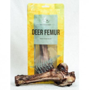 DEAR DEER - 紐西蘭鹿大腿骨 Deer Femur