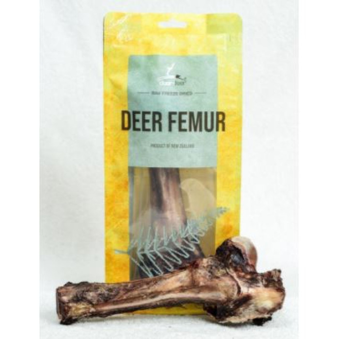 DEAR DEER - 紐西蘭鹿大腿骨 Deer Femur