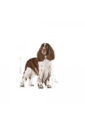 Royal Canin 法國皇家 - Light Weight Care 中型犬體重控制配方 12kg