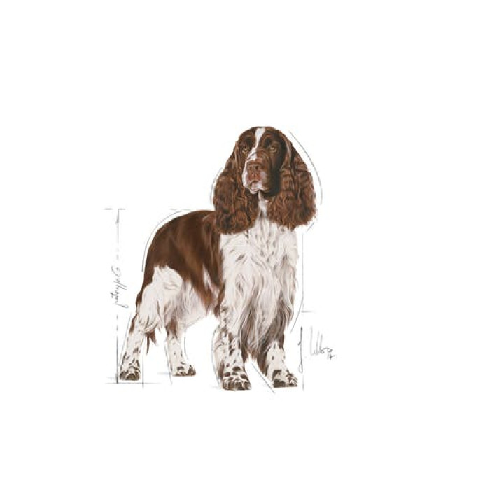 Royal Canin 法國皇家 - Light Weight Care 中型犬體重控制配方 12kg