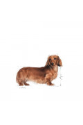 Royal Canin 法國皇家 - Dachshund Adult 臘腸成犬 1.5kg / 7.5kg