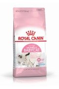 ROYAL CANIN Babycat 34 BB貓配方 10kg