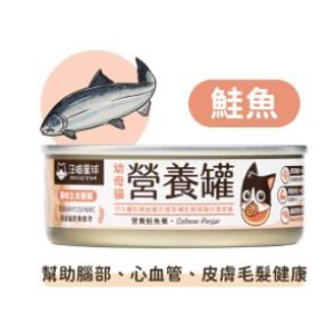 汪喵星球 - 幼母貓營養主食罐 鮭魚 80g