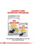 Royal Canin 法國皇家 - Dermacomfort 小型犬皮膚敏感配方 3kg / 8kg