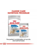 Royal Canin 法國皇家 - Light Weight Care 小型犬體重控制配方 3kg / 8kg