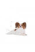 Royal Canin 法國皇家 - X-Small Adult 12+ 超小型高齡犬配方 1.5kg 